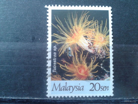 Малайзия 1997 Кораллы