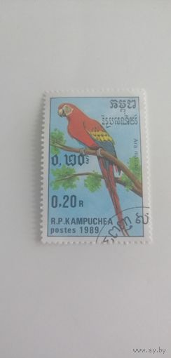 Камбоджа 1989. Попугаи