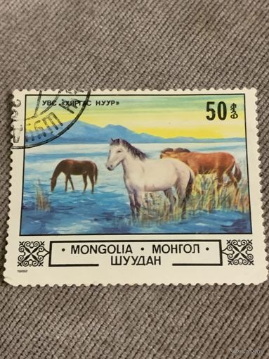 Монголия 1982. Лошади. Марка из серии