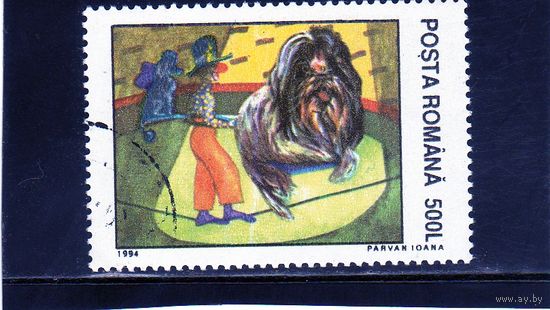 Румыния.Ми-5030. Собака (Canis lupus Familiaris),артист. Серия: цирк. 1994.