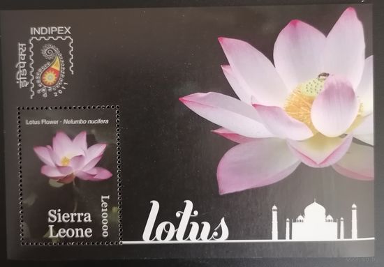 Цветы - Международная выставка марок INDIPEX 2011 - Нью-Дели, Индия.