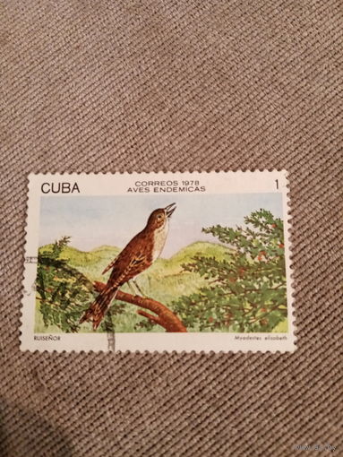 Куба 1978. Птицы эндэмики. Muadestes Elisabeth