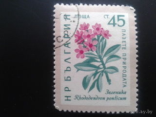 Болгария 1960 цветы