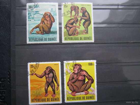 Марки - фауна, Гвинея, обезьяны