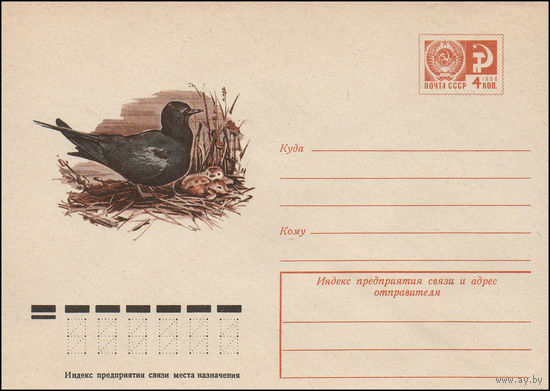 Художественный маркированный конверт СССР N 11133 (19.02.1976) [Черная крачка]