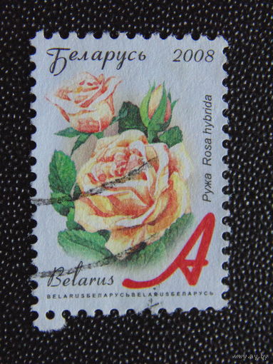 Беларусь 2008 г.