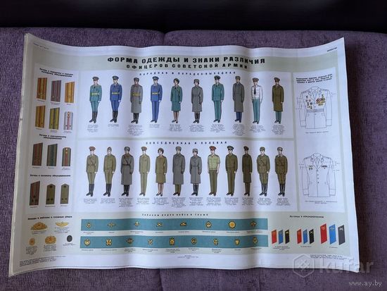 Плакат МО СССР Форма одежды и знаки различия