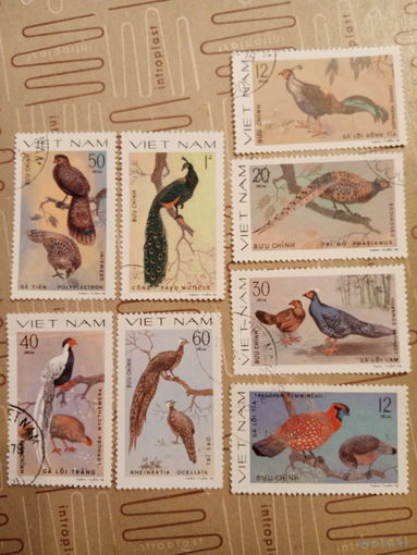 Вьетнам 1978. Декоративные птицы. Павлины
