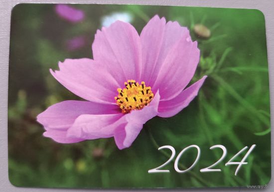 Цветок. 2024, глянец. Календарик