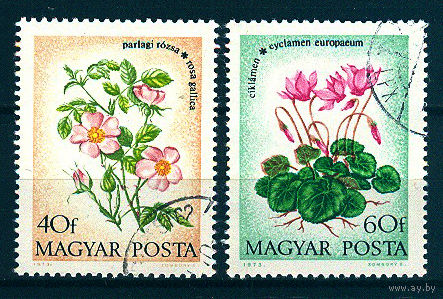 1973 Венгрия. Полевые цветы