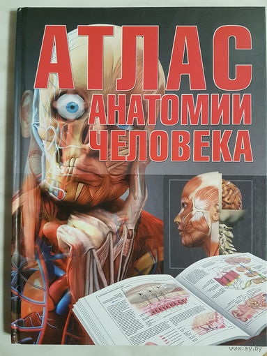 Книга ,,Атлас анатомии человека'' справочное издание.