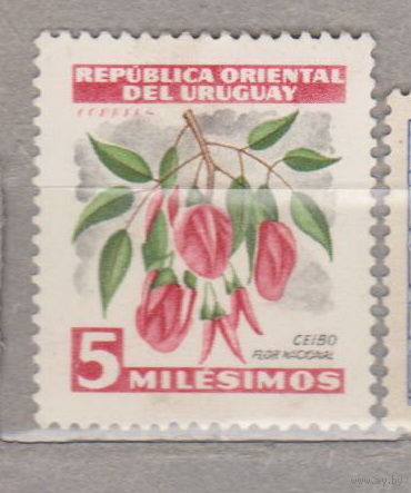 Цветы флора Уругвай 1954 год лот 1012  ЧИСТАЯ