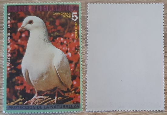 Экваториальная Гвинея 1976 Европейские птицы. Колумба Ливия
