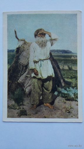 1954. Суриков. Старик в огороде