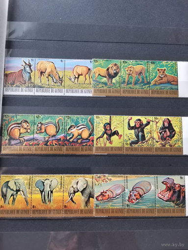 Гвинея 1977г. Авиапочта - Вымирающие животные **
