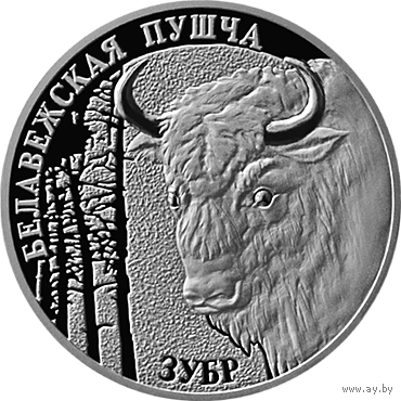 Беловежская пуща. Зубр, 20 рублей 2001
