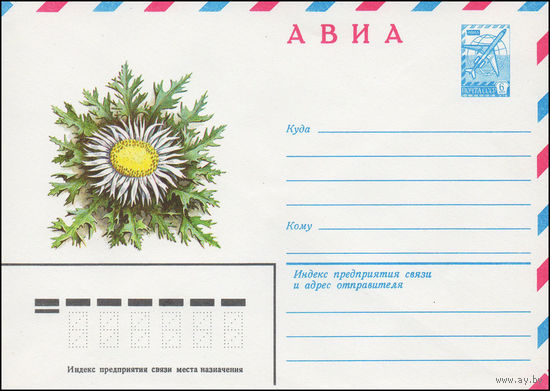 Художественный маркированный конверт СССР N 15367 (25.12.1981) АВИА  [Колючник бесстебельный]
