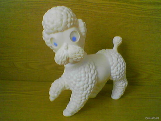 Карманная собака карликовый пудель (Малыш). (возможен обмен)