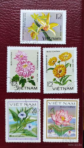 Вьетнам, 5м цветы, гаш