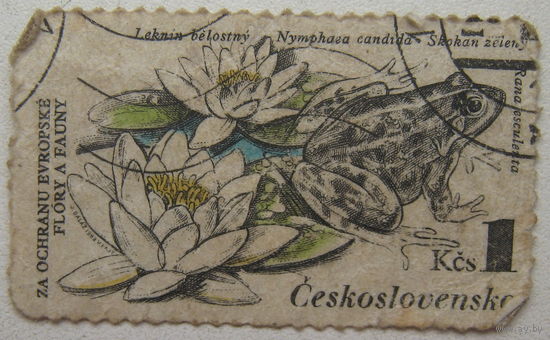 Чехословакия марка. Лягушка