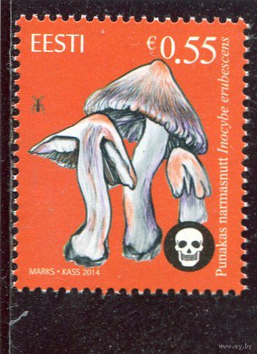 Эстония. Ядовитые грибы. Волоконница Патуйяра
