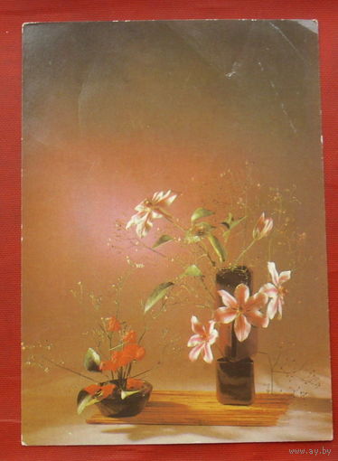 Цветы. Подписанная. 1984 года. Фото Гукова. 1014.