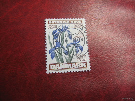 Марка Цветы - к 100-летию Копенгагского Ботанического сада 1974 год Дания