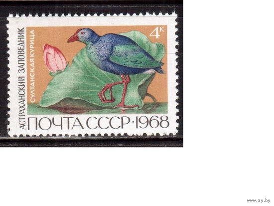 СССР-1968, (Заг.3595)  **  ,Фауна, Заповедники, Курица