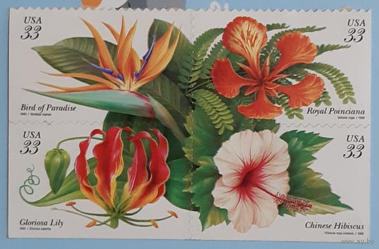 1999 Тропические растения. США