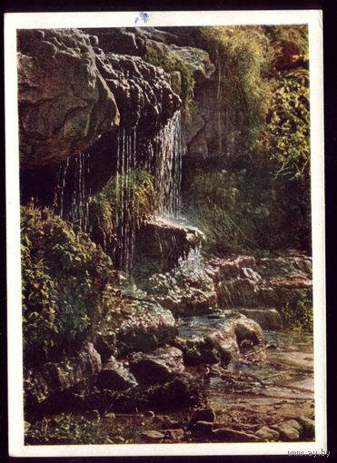 1961 год Кисловодск Лермонтовский водопад
