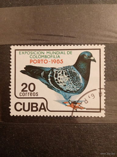 Куба 1985. Птицы.Голубь