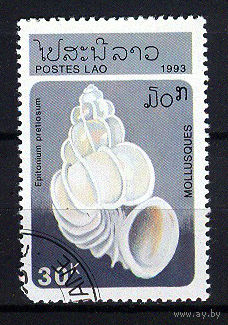 1993 Лаос. Ракушка