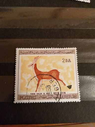 1967 Алжир искусство дорогая марка прошедшая почту не спец гашение крайне редко встречается (4-8)