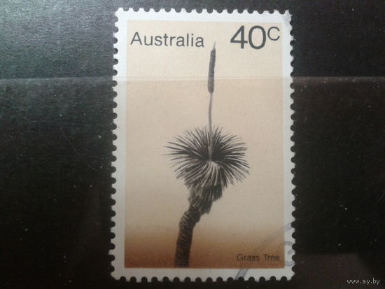 Австралия 1978 австралийское дерево