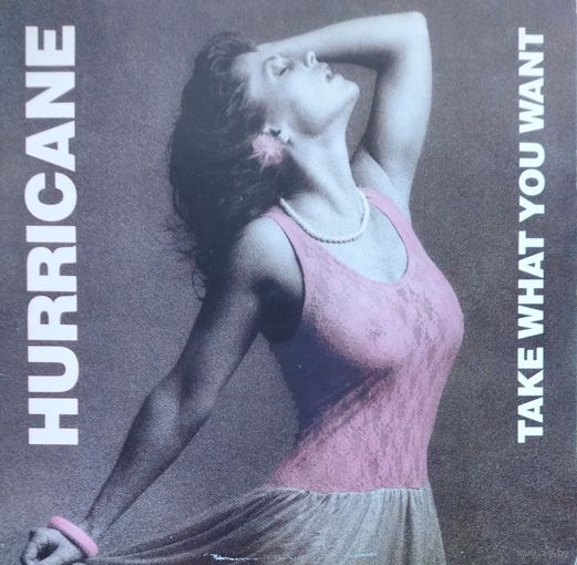 Hurricane /Take What You Want/1985, RR, LP, NM, Germany