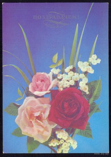 СССР 1991 ДМПК Поздравляем розы