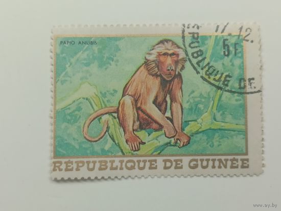 Гвинея 1968. Африканская фауна