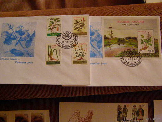 Беларусь 1996 КПД Флора Лекарственные растения (2 конверта)