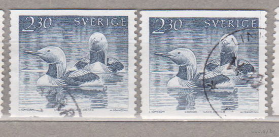 Птицы Фауна Швеция   лот 1077 Цена за 1- марку на выбор