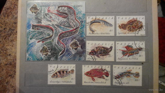 Рыбы, фауна, марки, Танзания, 1991, блок и 7 марок