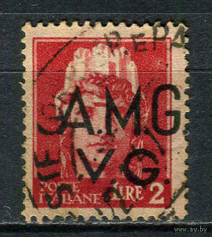 Италия - Триест (Венеция-Джулия) - 1945/1947 - Надпечатка A.M.G./V.G. на марках Италии 2L - [Mi.10] - 1 марка. Гашеная.  (Лот 42EL)-T2P18