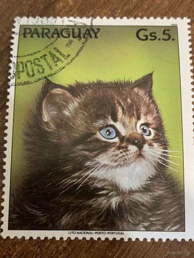 Парагвай 1989. Кошки. Марка из серии