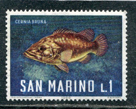 Сан Марино. Морская фауна