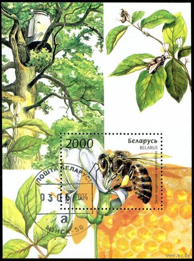 Пчёлы Беларусь 2004 год (575) 1 блок