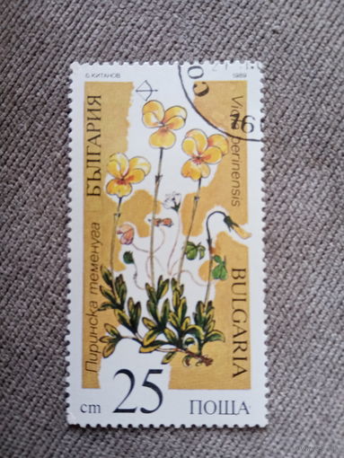 Болгария 1989. Цветы. Виола