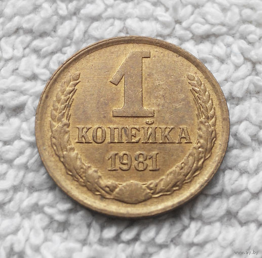 1 копейка 1981 года СССР #12