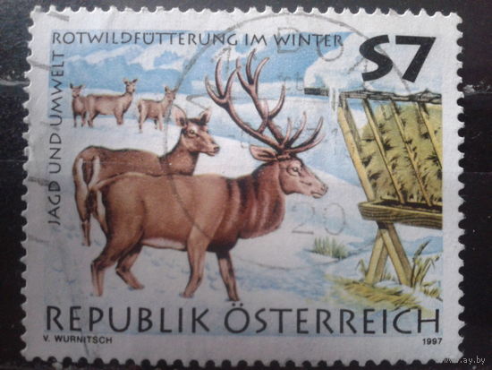 Австрия 1997 Олени зимой