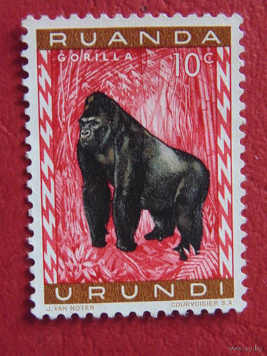 Руанда -Урунди 1959 г. Горилла.
