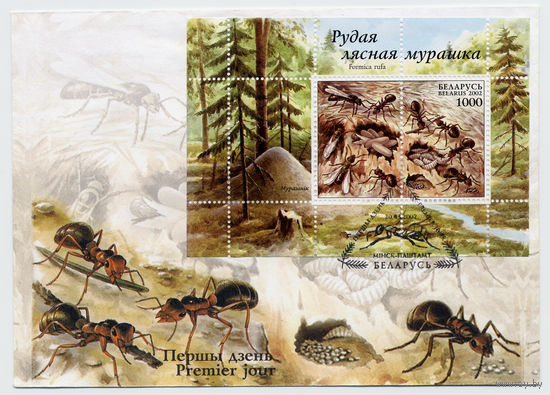 Беларусь 2002 г КПД-2шт  Рыжий лесной муравей Фауна Насекомые  -((3)).