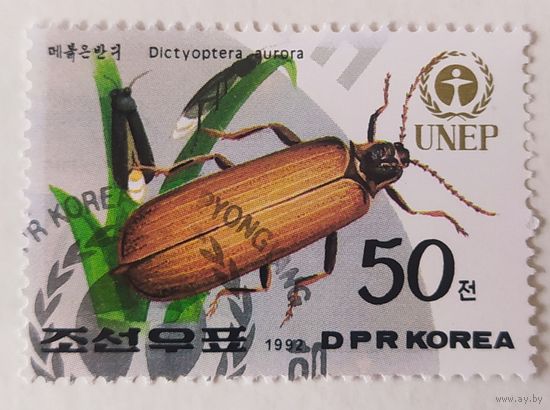 Корея 1992, жук